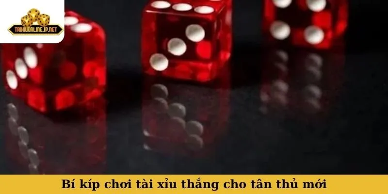 Bí kíp chơi tài xỉu thắng cho tân thủ mới