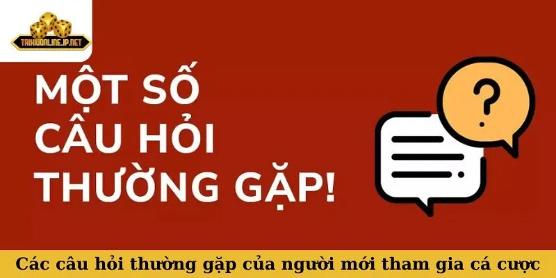 câu hỏi thường gặp Các câu hỏi thường gặp của người mới tham gia cá cược