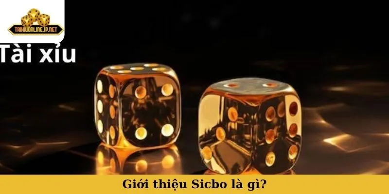 sicbo là gì Giới thiệu Sicbo là gì?