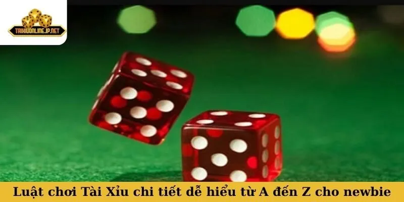Luật chơi Tài Xỉu chi tiết dễ hiểu từ A đến Z cho newbie